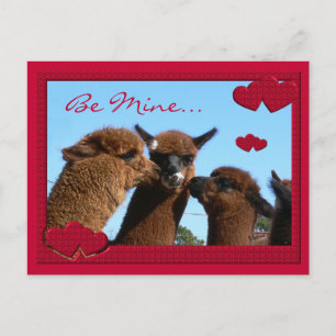 Gullig Alpacavalentines dayvykort Helg Vykort