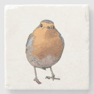 Gullig älskvärd Robin fågel Redbreast Stenunderlägg