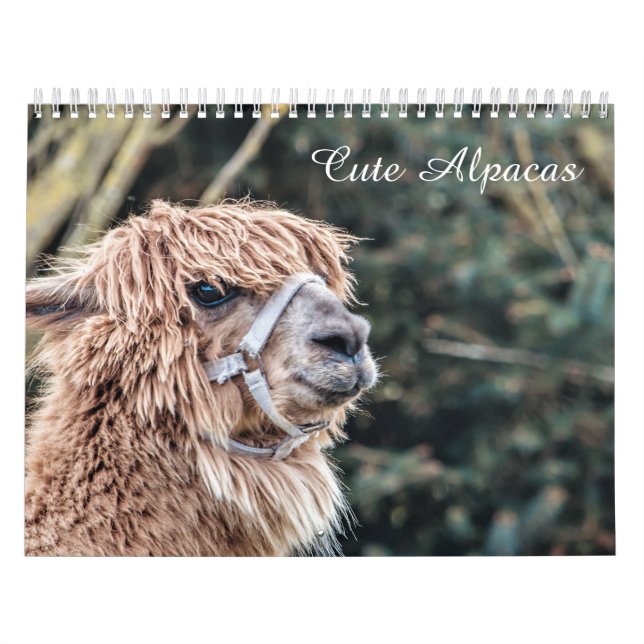 Gullig anpassade för Alpacakalender fullständigt Kalender (Omslag)