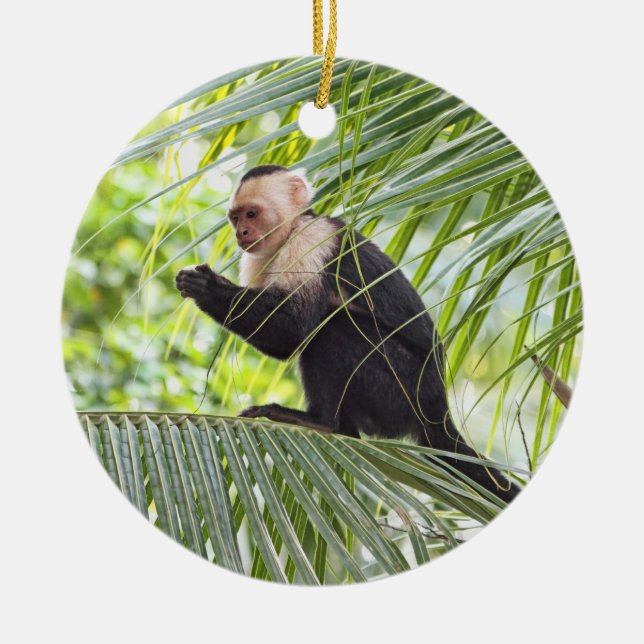 Gullig apa på en palmträd julgransprydnad keramik (Framsidan)