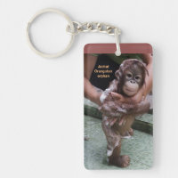 Gullig baby Jackat för internationell Orangutandag
