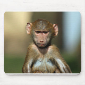 Gullig babyBaboon Mousemat/Mousepad Musmatta