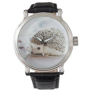 Gullig babyigelkott armbandsur