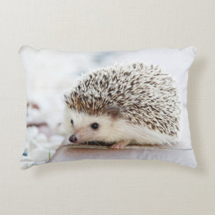 Gullig babyigelkott prydnadskudde