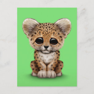 Gullig babyLeopardunge på grönt Vykort