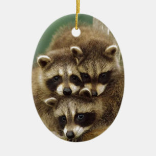 Gullig babyRaccoon Julgransprydnad Keramik