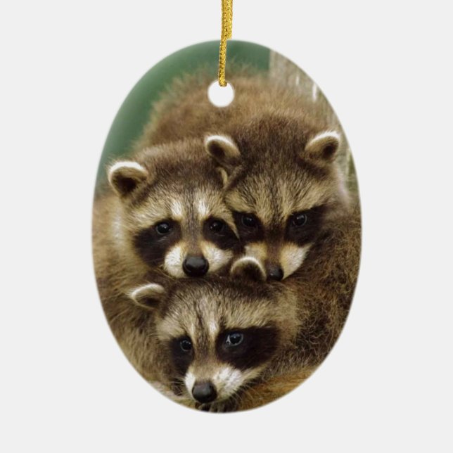 Gullig babyRaccoon Julgransprydnad Keramik (Framsidan)