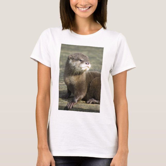 Gullig babyutter tee (Framsida)