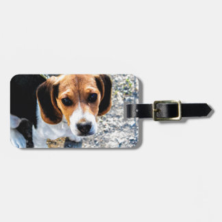 Gullig Beagle Bagagebricka