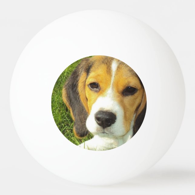 Gullig Beagle Pingisboll (Framsidan)