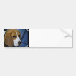Gullig Beaglebildekal Bildekal