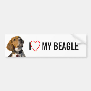 Gullig Beaglehund Bildekal