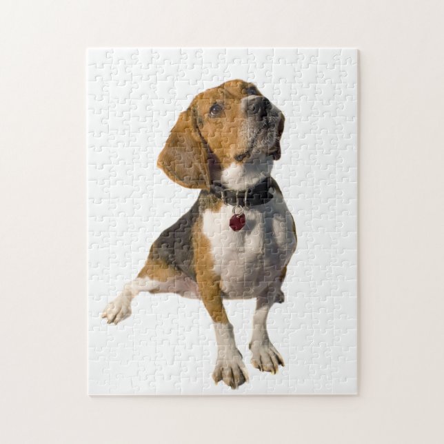 Gullig Beaglehund Pussel (Vertikal)