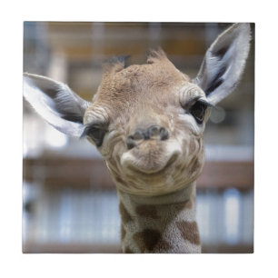 gullig bebisgiraff kakelplatta