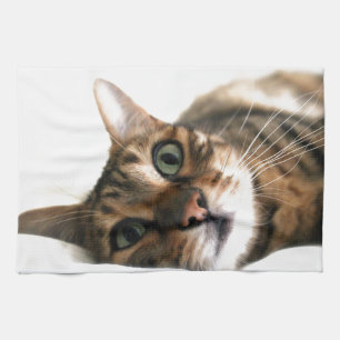 Gullig Bengal katt i sängbild Kökshandduk