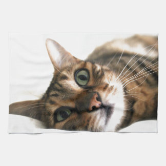 Gullig Bengal katt i sängbild Kökshandduk