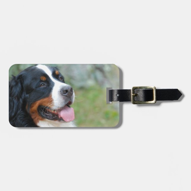 Gullig Bernese bagagemärkre Bagagebricka (Horisontell Framsida)