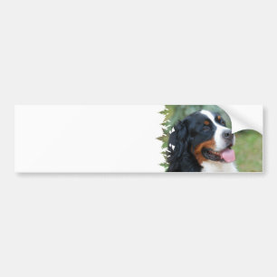 Gullig Bernese bildekal