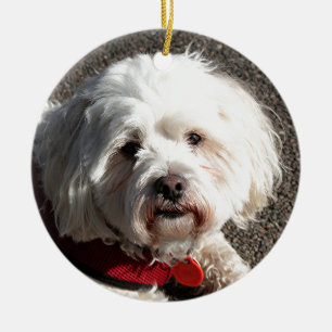 Gullig bichonfrisehund julgransprydnad keramik
