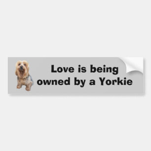 Gullig bildekal för Yorkshire Terrier så