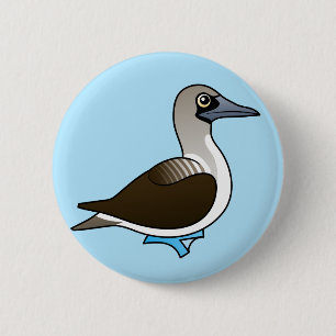 Gullig Blått-footed Booby Knapp