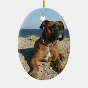 Gullig boxarehundprydnad julgransprydnad keramik