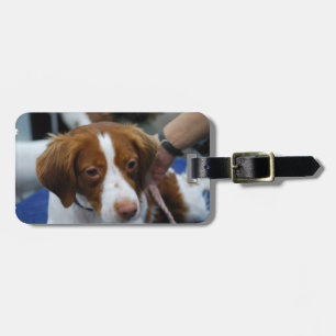 Gullig Brittany Spaniel Bagagebricka