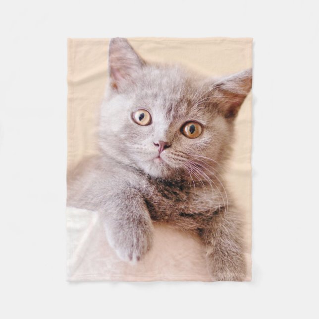 Gullig brittisk Shorthair katt Fleecefilt (Framsidan)