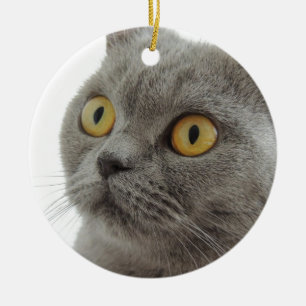 Gullig brittisk Shorthair katt Julgransprydnad Keramik