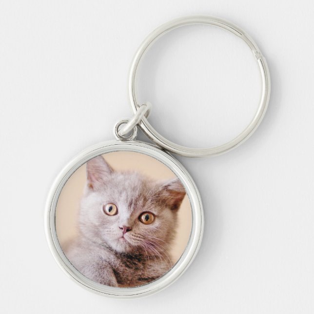 Gullig brittisk Shorthair katt Rund Silverfärgad Nyckelring (Framsidan)