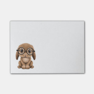 Gullig brun babykanin som ha på sig post-it block