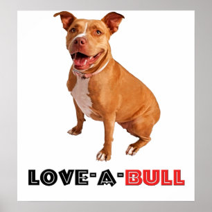 Gullig brun Pittie Kärlek-en-Tjur Poster
