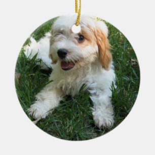 GULLIG CAVAPOO-VALP JULGRANSPRYDNAD KERAMIK
