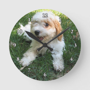 GULLIG CAVAPOO-VALP RUND KLOCKA