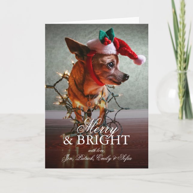 Gullig Chihuahua med en Santa hatt Helgkort (Framsida)