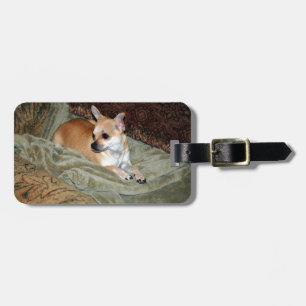 Gullig Chihuahuahund Bagagebricka