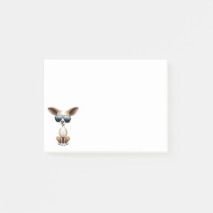 Gullig Chihuahuavalp som ha på sig solglasögon Post-it Block