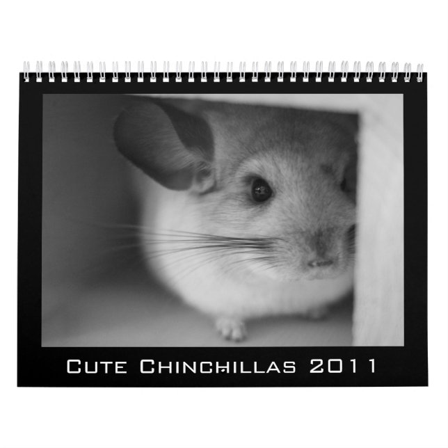 Gullig Chinchillakalender 2011 Kalender (Omslag)