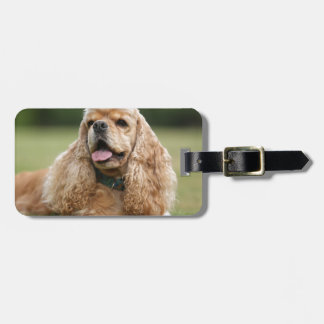 Gullig cockerspanielSpaniel Bagagebricka