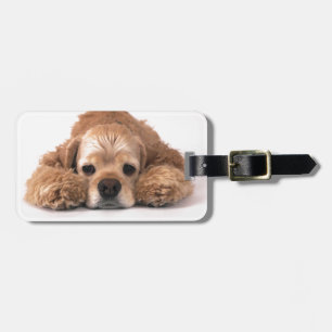 Gullig cockerspanielSpaniel Bagagebricka