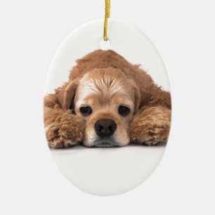 Gullig cockerspanielSpaniel Julgransprydnad Keramik