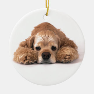 Gullig cockerspanielSpaniel Julgransprydnad Keramik