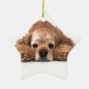 Gullig cockerspanielSpaniel Julgransprydnad Keramik