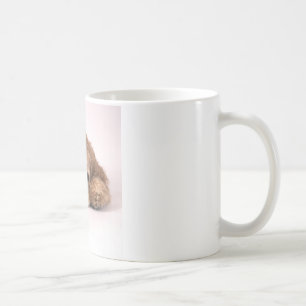Gullig cockerspanielSpaniel Kaffemugg