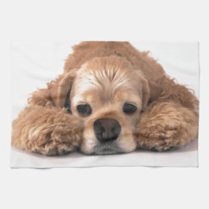 Gullig cockerspanielSpaniel Kökshandduk
