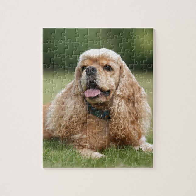 Gullig cockerspanielSpaniel Pussel (Vertikal)