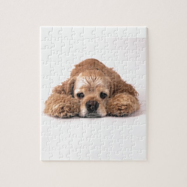Gullig cockerspanielSpaniel Pussel (Vertikal)