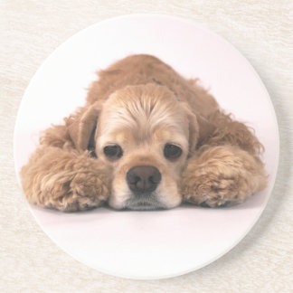 Gullig cockerspanielSpaniel Underlägg Sandsten