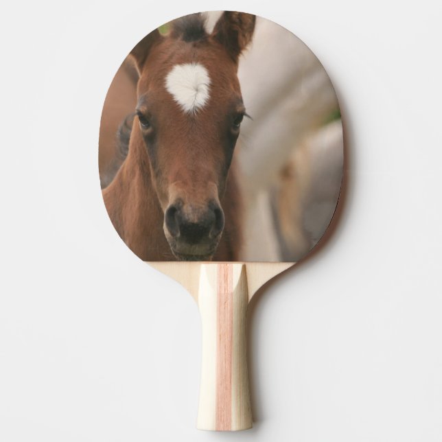 Gullig Colt Pingisracket (Framsidan)
