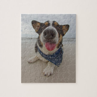Gullig Corgi med tungan ut Pussel